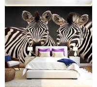 Negro Papel Pintado para Pared Cebra animal 400 x 280 cm Fotográfico Mural de Pared no Tejido Moderno Decor de Paredes Salón Dormitorio Pasillo Comedor