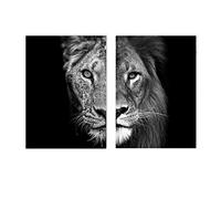 Negro Y Blanco Poster Animal Lienzo ImpresióN LeóN Y Leona Pared Arte ImpresióN Pintura NóRdico Decorativo Cuadro Para Sala De Estar Hogar Decoracion Sin Marco 40×60cm×2 Piezas