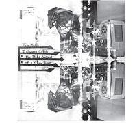 Nehls - I Always Catch the Third Second of a Yel [Vinilo]