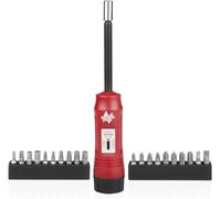 NEIKO 10573B - Juego de destornilladores de torsión de 1/4 pulgadas, 20 puntas hexagonales, 10 a 50 en libras, llave dinamométrica de destornillador de vástago largo, destornillador de torsión