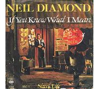 Neil Diamond - If You Know What I Mean