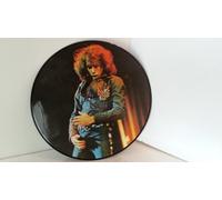 NEIL DIAMOND - NEIL DIAMOND his 12 greatest hits. PICTURE DISC