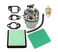 NEIQIUWING GCV160 - Carburador de alto rendimiento para HRB216