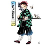 Nel corso del tempo. Demon slayer. Kimetsu no yaiba. Illustration book