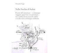Nella Turchia di Sudest. Il senso del camminare - o comunque viaggiare quasi fosse un camminare - tra i confini di una terra di confine e in altre terre comunque confinarie