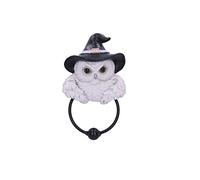 Nemesis Now Aldaba mágica para Puerta, Color Blanco, 21 cm