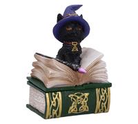 Nemesis Now Caja de figuras Binx Small – Gato negro y libro de hechizos, resina, verde, 11 cm