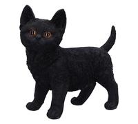 Nemesis Now Charmed Companion - Figura de Gato Negro, Resina, 20 cm, Adorno de Gato Negro, artículos de Regalo coleccionables, Fundido en la Mejor Resina, Pintado a Mano por Expertos