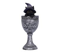 Nemesis Now Coven Cup, Plata, 15,7 cm