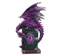 Nemesis Now Dragon Fable 24 cm, Resina, Morado, dragón sobre Libros embrujados, Adorno de dragón Morado Brillante, artículos de Regalo coleccionables, Fundido en la Mejor Resina, Pintado a Mano por