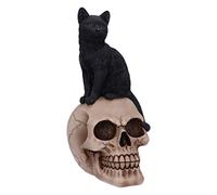 Nemesis Now Familiar Fate-Figura de Gato y Calavera (24,3 cm), diseño de Brujas Negras, Resina, 24.3cm