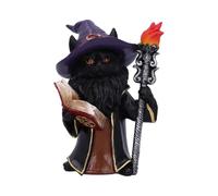 Nemesis Now Figura de gato mago, figura mágica de gato con libro de hechizos, linterna y atuendo de mago, decoración de fantasía de resina pintada a mano - Albus