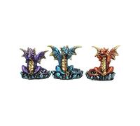 Nemesis Now Figurita de Dragones Sabios (13 cm), Multicolor