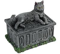 Nemesis Now Fortune's Watcher Tarot Box Unisex Caja de almacenamiento Gris Poliresina