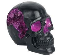Nemesis Now Geode Skull - Figura Decorativa (Resina, 17 cm), Color Negro y Morado