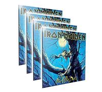Nemesis Now Iron Maiden Fear of The Dark Crystal Clear - Cuadro (32 cm), Color Negro