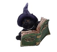 Nemesis Now Kitty's Grimorio (Verde) 8,2 cm