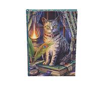 Nemesis Now Lisa Parker Book of Shadows - Diario (17 cm), multicolor