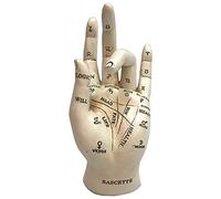 Nemesis Now Palmistry Chriomancy Fortune Telling Hand Figurine, Polyresin, White Figura de Mano de polirresina, Color Blanco, 17.7cm