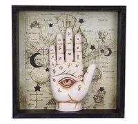 Nemesis Now Palmistry Companion-Arte de Pared Enmarcado para quiromancia, Resina, Hueso, 7.9L x 1.5W cm