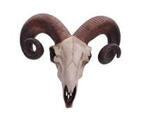 Nemesis Now Rams Skull - Placa de pared (tamaño mediano, 32,5 cm), color marfil