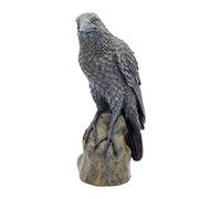 Nemesis Now Ravens Resto - Figura Decorativa (20 cm), Color Negro