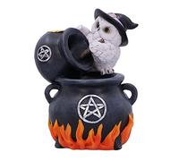 Nemesis Now Snowy Brew - Quemador de Incienso de reflujo, Negro, 17 cm