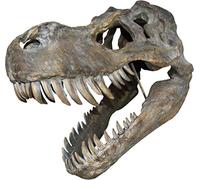 Nemesis Now Tyrannosaurus Rex Skull - Placa de pared (51,5 cm), color marrón