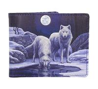 Nemesis Now Wallet 10cm Blue, PU Warriors of Winter Lisa Parker-Cartera de Poliuretano (10 cm), Color Azul
