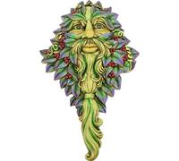 Nemesis Now Winters Watch - Placa de Pared (23 cm), Color Verde