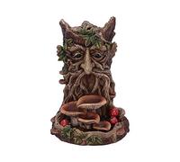 Nemesis Now Wisest Dryad Tree Spirit Green Man - Quemador de Incienso de reflujo, polirresina, marrón, Talla única