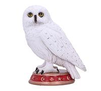 Nemesis Now Wizard's Familiar - Figura Decorativa de búho, Color Blanco, 10 cm