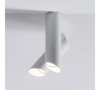 Nemo Tubos LED plafón 2 luces blanco/blanco