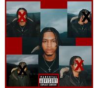 Nemzzz - DO NOT DISTURB (RSD2025) [Vinilo]