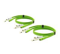NEO+ by Oyaide d+ RCA Tocadiscos DUO (Clase B) Cable de audio duradero para DJ, músicos y productores, 2 x 1 metro, compatible con todos los dispositivos de entrada RCA