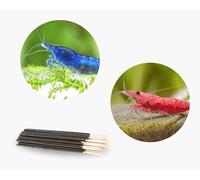 Neocaridina Paquete de camarones | Neocaridina camarones para acuario de agua dulce | 8 x Lollies de camarón regalados | 7 x sakura roja y 7 camarones Blue Dream