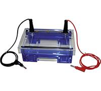 neolab 7 - 0160 peine, 1,0 mm, 8 bolsillos, 7,5 mm de ancho, volumen de carga 30 µl)
