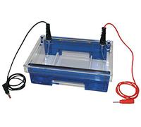 Neolab 7 0174 - Peine para cámara de Elektrophorese, 13 bolsillos, capacidad de 30 µl, 1,0 mm, 7,5 mm de ancho