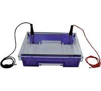 neolab 7 - 0189 peine, 1,0 mm, 22 bolsillos, 5,0 mm de ancho, volumen de carga 20 µl)