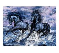 Neoline DIY 5d Diamond Painting Kits, 5D Diamond Painting Familia Perforación Completo Cristal Rhinestone Bordado Cruzpunte Arte Artesanía Decoración de Pared Hogar Caballo Oscuro 40 x 80 cm A2706