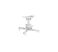 Neomounts CL25-530WH1 Soporte de techo para proyector, blanco