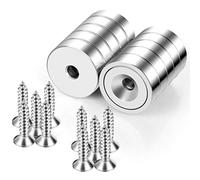 Neosmuk Imanes Redondos Fuertes con Agujero para Pared, Tornillo para Madera, Disco de Neodimio con Centro Hueco, Plano de 20 mm (Paquete de 10)
