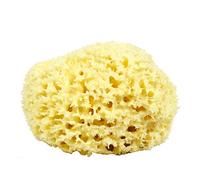 Neptune Esponja de lana de mar natural - nido de abejas totalmente natural renovable esponja de mar, 7 Inch