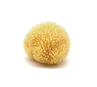 Neptune Esponja natural del mar del Caribe - Esponja de mar renovable natural (4 pulgadas)