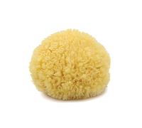 Neptune Esponja natural del mar del Caribe - Esponja de mar renovable natural (5 pulgadas)