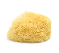 Neptune Esponja natural del mar del Caribe - Esponja de mar renovable natural (7 pulgadas)