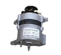 Nerador de alta potencia sin escobillas con imán permanente de CA, polea de alternador sin escobillas, imán permanente 800W1300W 2000W(800W)