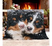 Nero Felpa Cálida Forro Polar Decoración Del Hogar Manta XXL 180x220 cm | Animales Perro De MontañA BernéS Franela Mantas Para Decoraciones De Fiesta Mujeres Sofá Cama Sala De Estar Dormitorio Apa