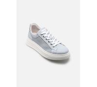 NeroGiardini E615273D 37 Azul