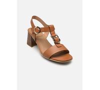 NeroGiardini E615870D 36 Marrón